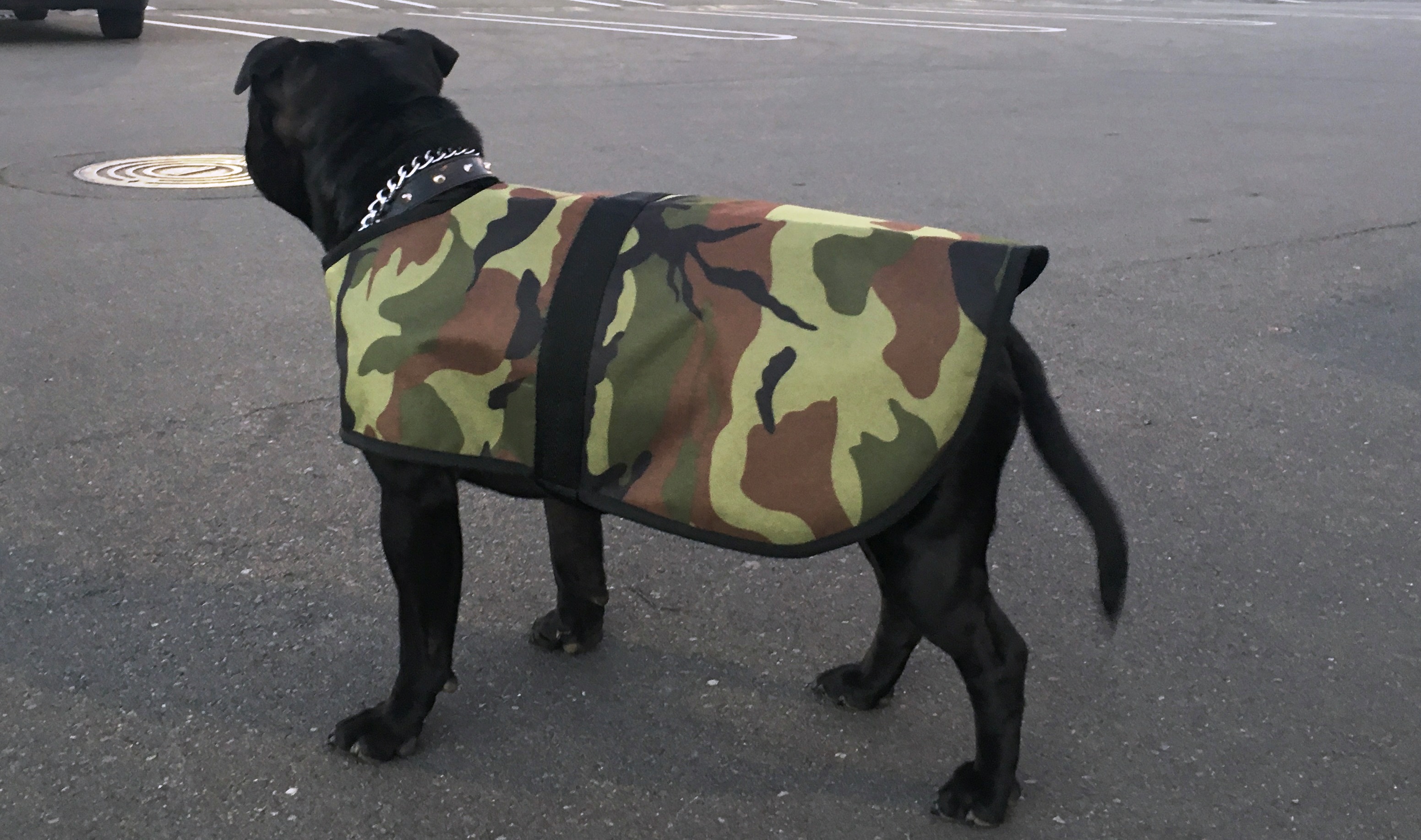 Camouflage Dog Jacket
 Dog Jackets Camo Waterproof BagEm