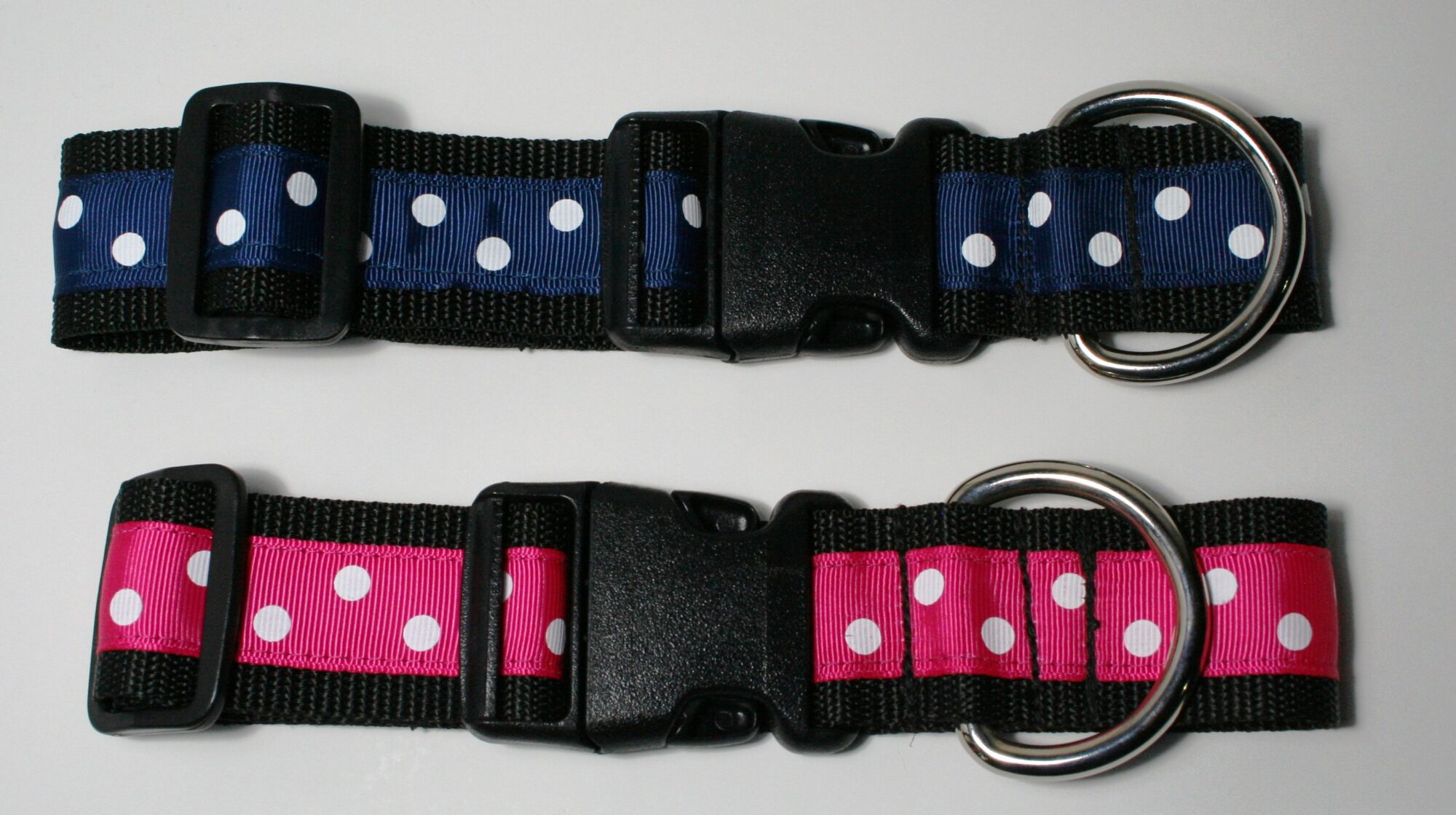 Nz Dog Collar at williamlgibsono blog