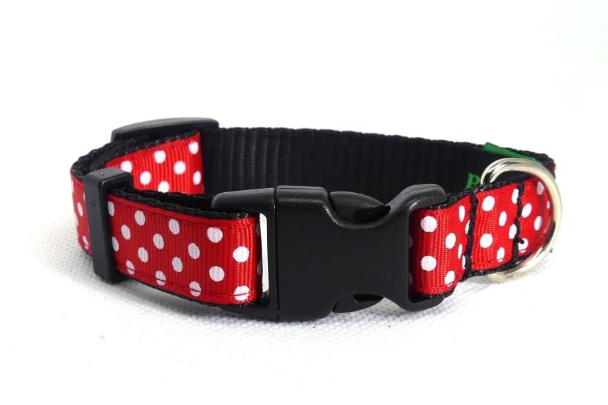 Designer Dog Collars- Adjustable- Strong- Made In New Zealand